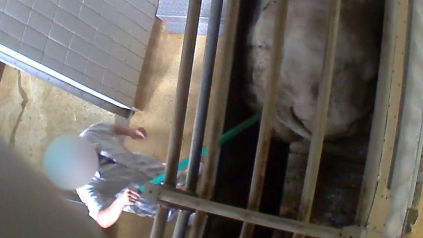 Eén van de voorwaarden voor heropstart is het ontslag van het personeelslid op de beelden.