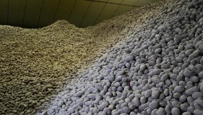 De Belgapomprijzen blijven stabiel.