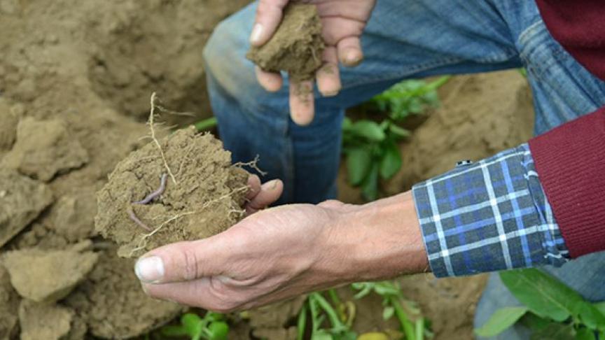 Verschillende partners werken mee aan een onderzoek rond bodemverdichting.